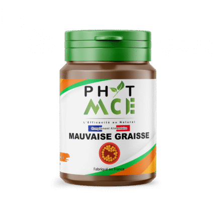 MAUVAISE GRAISSE