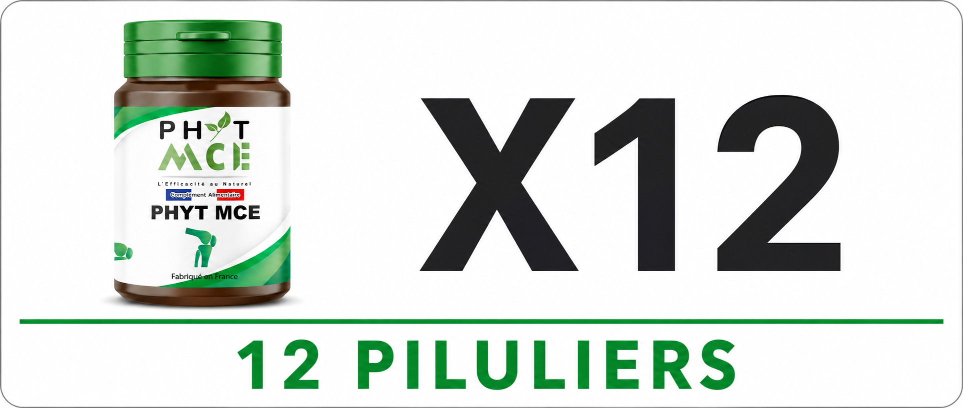 12-piluliers